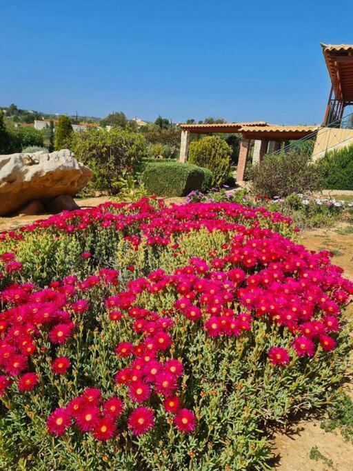 Guesthouse Petrothalassa Porto Heli Dış mekan fotoğraf